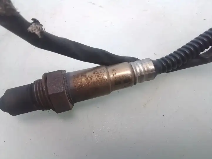 Volkswagen PASSAT B5.5 (2001 - 2005) 022906262 Лямбда-зонд — фото 5