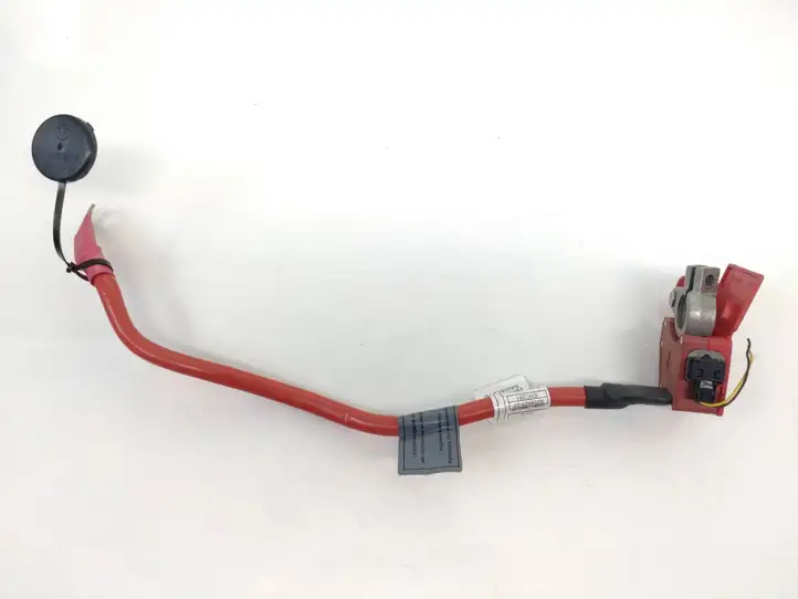 BMW 3 F30 F35 F31 (2012 - 2018) 9259425 Плюсовой провод аккумулятора — фото 1