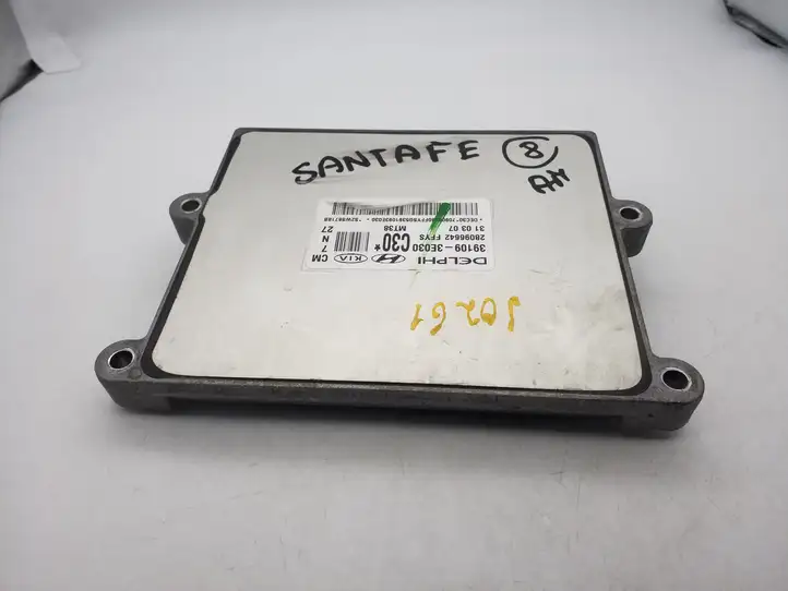Hyundai Santa Fe (2005 - 2009) 391093E030 Блок управления двигателем (ECU) — фото 2