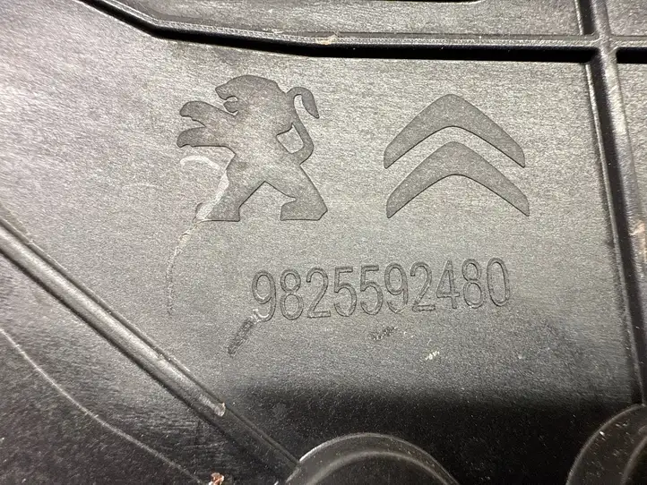 Peugeot 2008 II (2019 - ) 9825592480 Облицовка заднего бокового стекла — фото 3