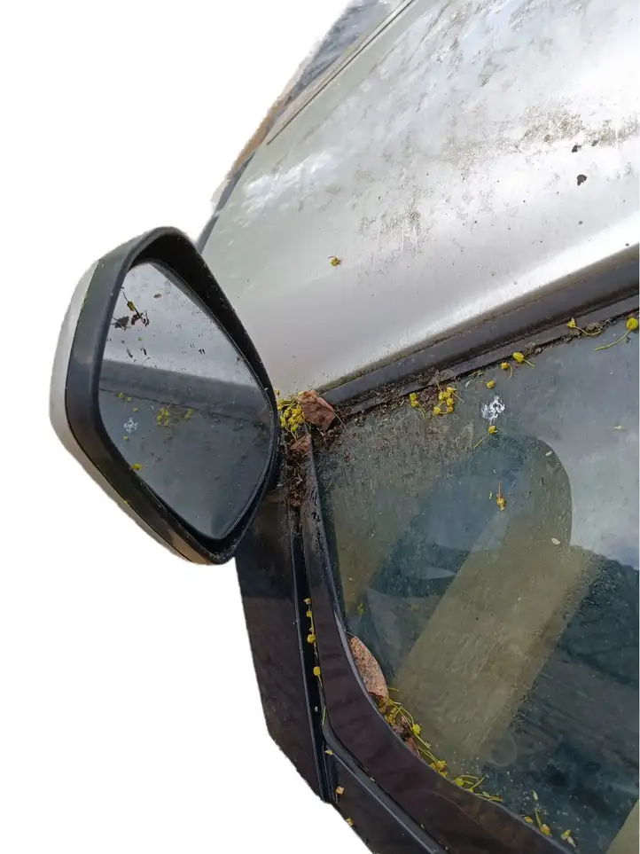 Toyota Avensis Verso (2001 - 2004) Дверь — фото 6
