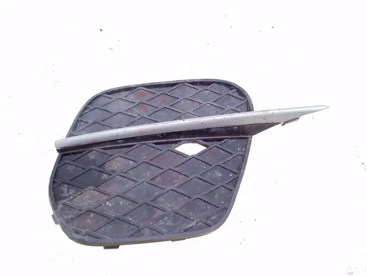 BMW X5 E70 (2006 - 2013)  51117222860 Нижняя решётка (из трех частей)