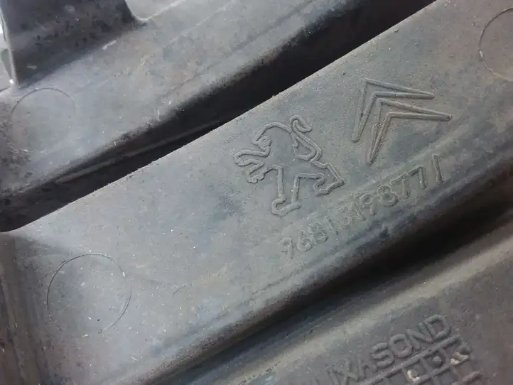 Peugeot Partner (2002 - 2008) 9681519877 Нижняя решетка переднего бампера — фото 2