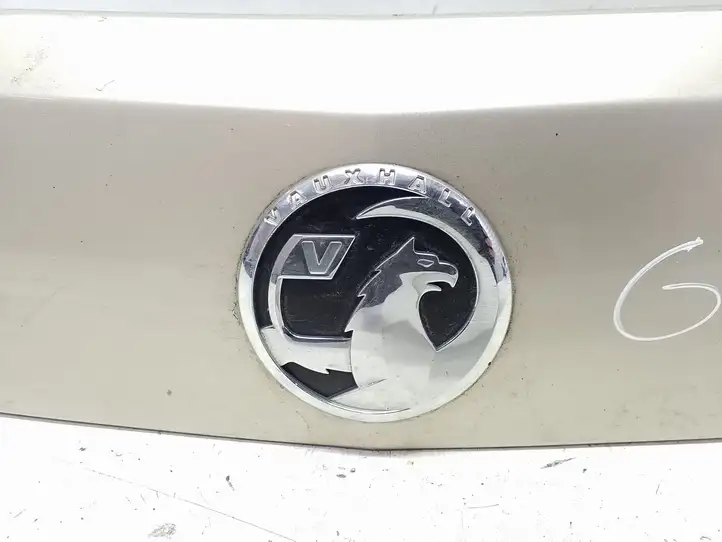Opel Antara (2011 - 2017) 96661344 Подсветка номера — фото 8