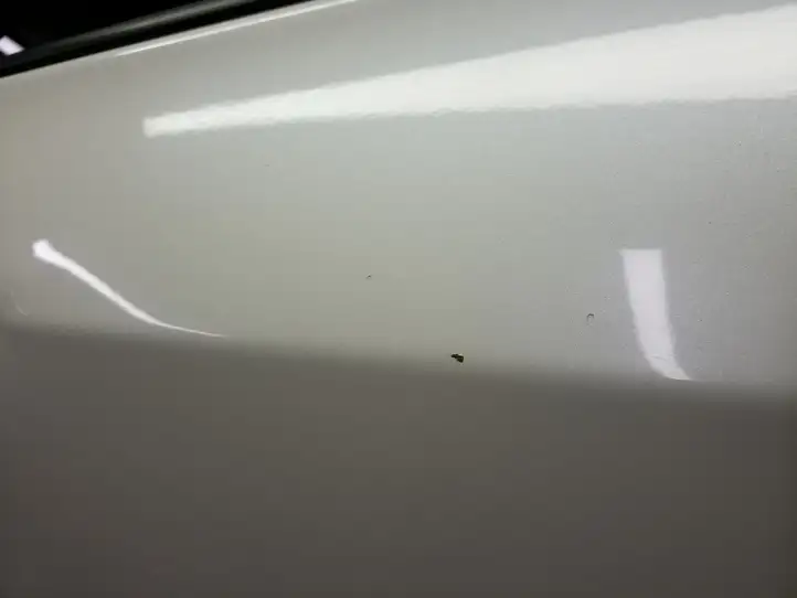 Toyota Prius+ (ZVW40) (2011 - 2018) Задняя дверь — фото 8