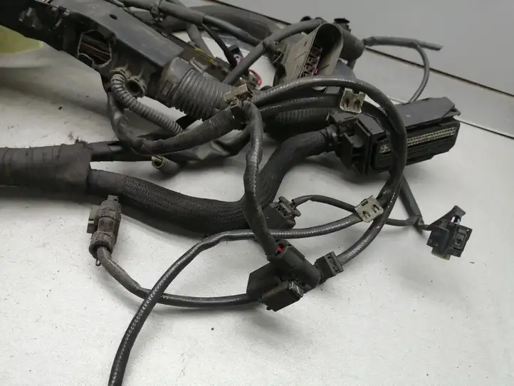 Mercedes-Benz Sprinter W906 (2006 - 2018) A6515460061 Проводка двигателя — фото 3