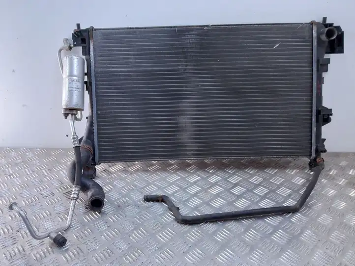 Saab 9-3 Ver2 (2003 - 2007) 989295Q Радиатор охлаждающей жидкости двигателя — фото 3