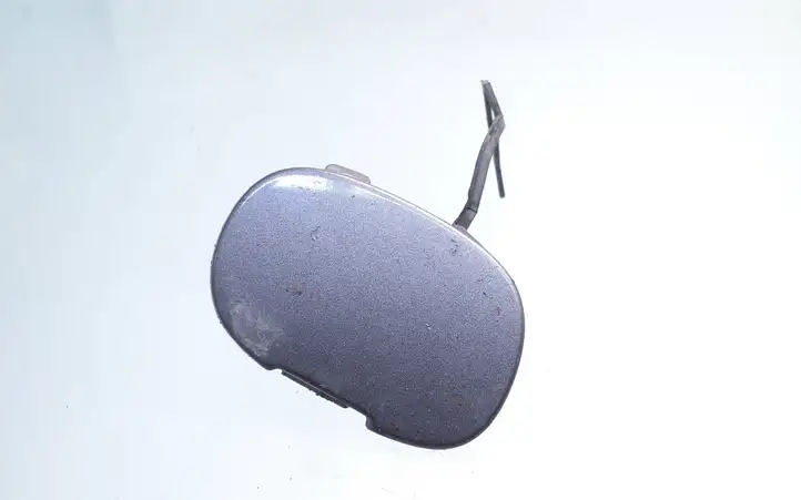 Volvo S80 (2004 - 2006)  30655115 Крышка петли вытягивания