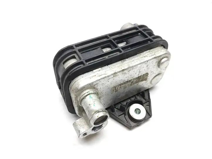 Renault Kangoo II (2014 - 2021) 1902220648 Охладитель электродвигателя — фото 1