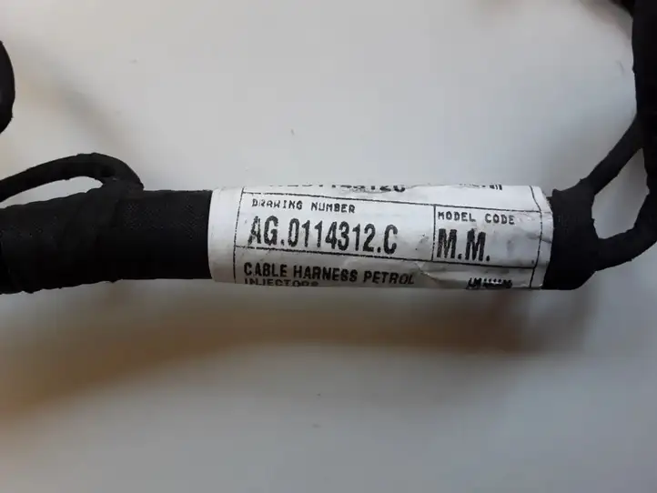 Fiat 500 (2008 - 2015) AG0114312C Прочая электропроводка — фото 3