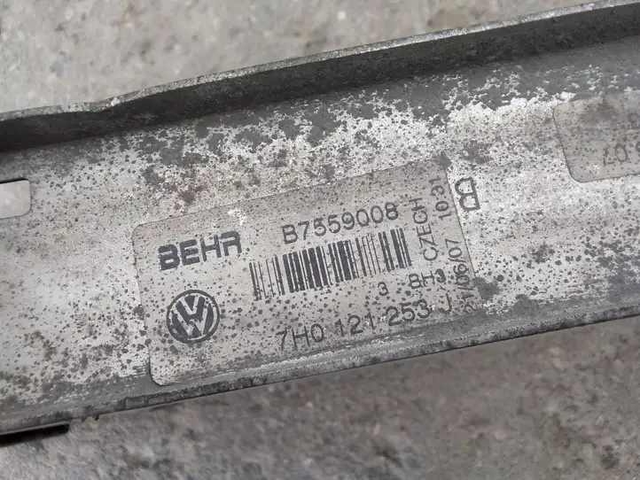 Volkswagen Transporter - Caravelle T5 (2003 - 2009) 7H0121253J Радиатор охлаждающей жидкости двигателя — фото 3