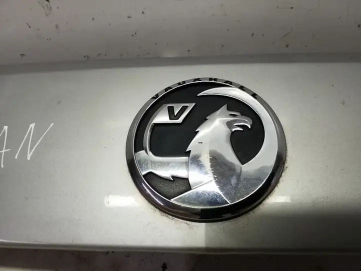 Opel Antara (2011 - 2017) 96661344 Подсветка номера — фото 6