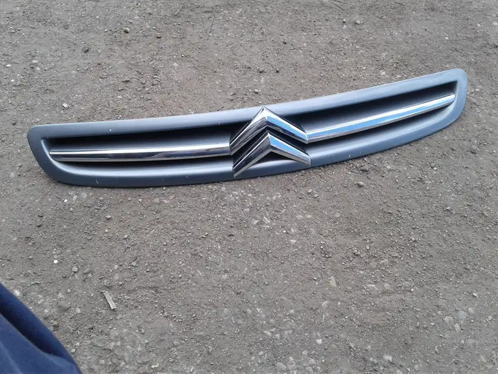 Citroen Xsara Picasso (1999 - 2012) 96550059377 Верхняя решетка радиатора — фото 1
