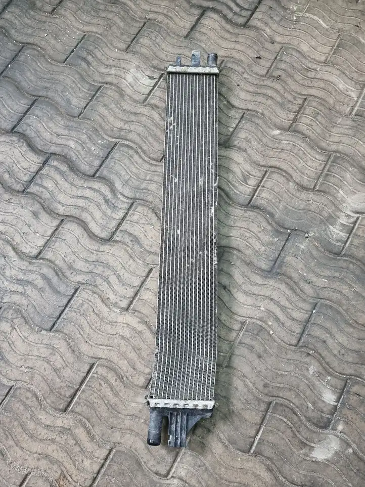 Renault Master III (2010 - ) 214C1001R Радиатор охлаждающей жидкости двигателя — фото 1