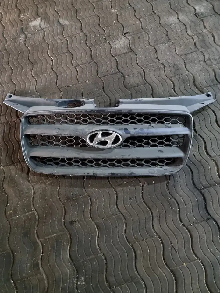 Hyundai Santa Fe (2005 - 2009) E865612B000 Верхняя решетка радиатора — фото 1