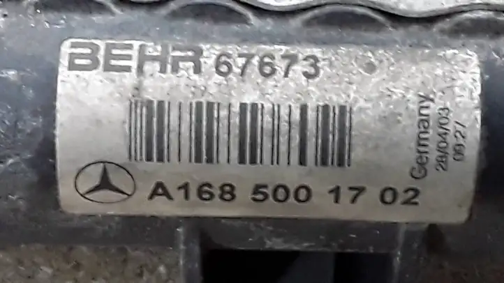 Mercedes-Benz A W168 (1997 - 2004) A1685001702 Радиатор охлаждающей жидкости двигателя — фото 2