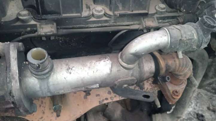 9645689780 Ford S-MAX EGR aušintuvas