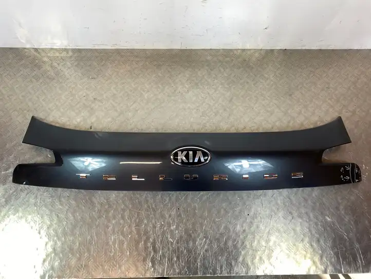 Kia Telluride (2019 - ) 87311S9000 Подсветка номера — фото 1