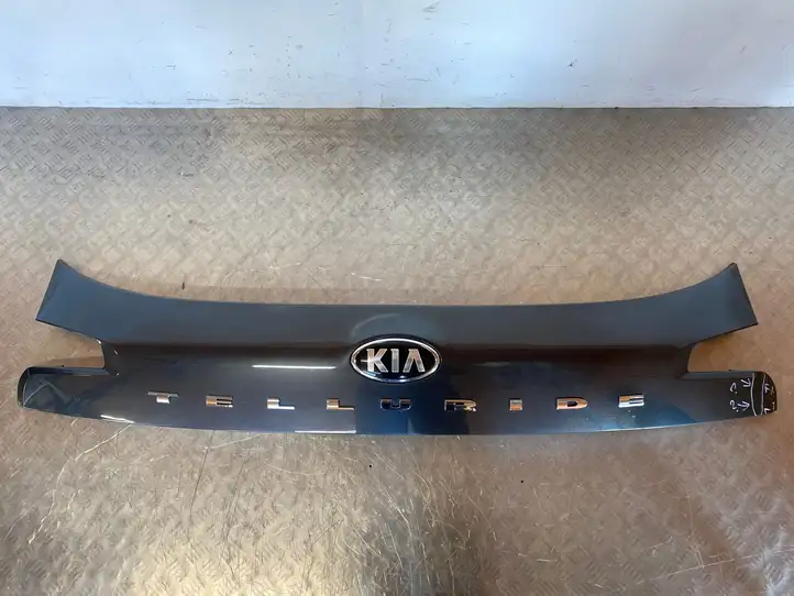 Kia Telluride (2019 - ) 87311S9000 Подсветка номера — фото 2