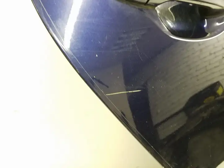 Toyota Prius (XW30) (2009 - 2015) Задняя дверь — фото 2