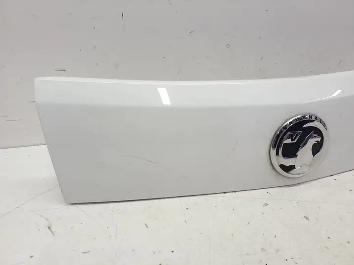 Opel Antara (2011 - 2017) 96661344 Подсветка номера — фото 3