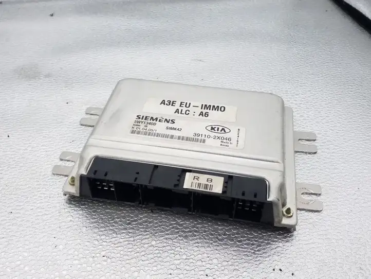 Kia Rio (1999 - 2002) 391102X046 Блок управления двигателем (ECU) — фото 1
