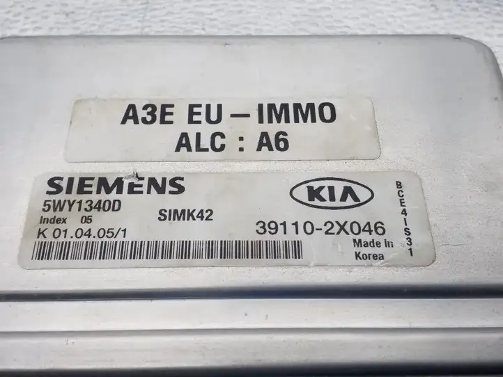 Kia Rio (1999 - 2002) 391102X046 Блок управления двигателем (ECU) — фото 2