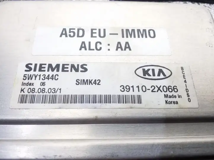 Kia Rio (1999 - 2002) 391102X066 Блок управления двигателем (ECU) — фото 3