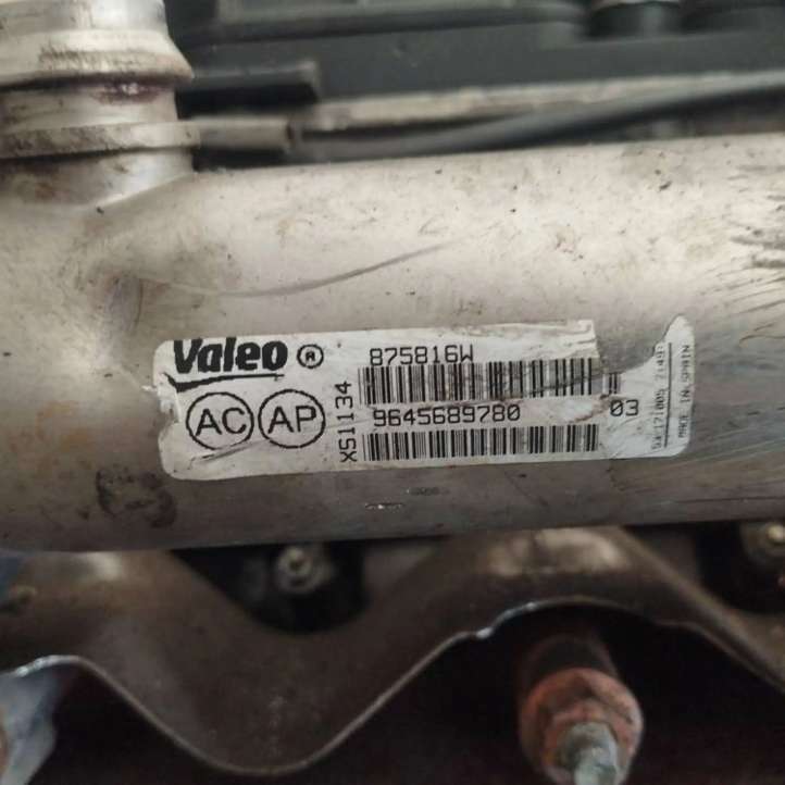 9645689780 Volvo V50 EGR aušintuvas