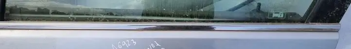 Honda Accord (2003 - 2007) Накладка стекла передней двери — фото 1