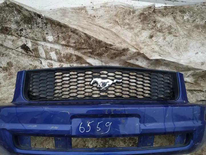 Ford Mustang V (2005 - 2014) Передняя решетка — фото 1