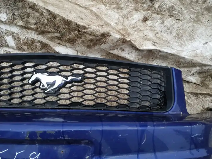 Ford Mustang V (2005 - 2014) Передняя решетка — фото 3