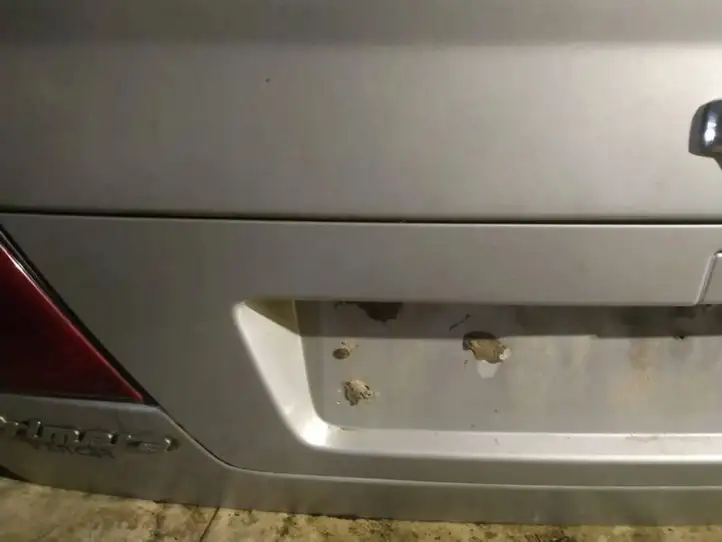 Nissan Primera (2000 - 2001) Подсветка номера — фото 2