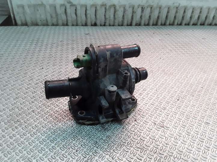 96534393880 Citroen C3 Termostatas/ termostato korpusas