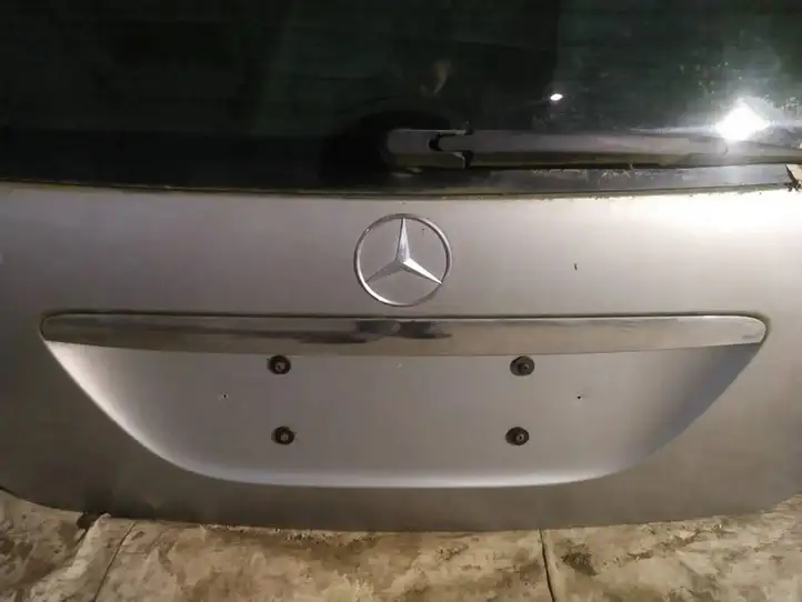 Mercedes-Benz R W251 (2005 - 2013) Подсветка номера — фото 1