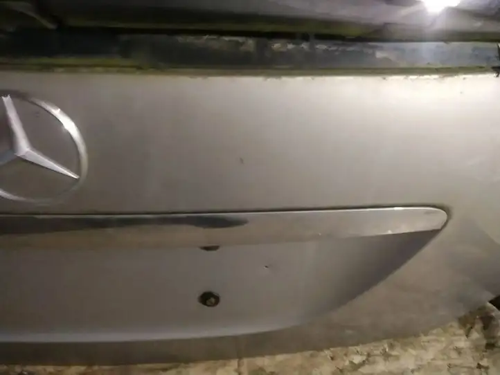 Mercedes-Benz R W251 (2005 - 2013) Подсветка номера — фото 3
