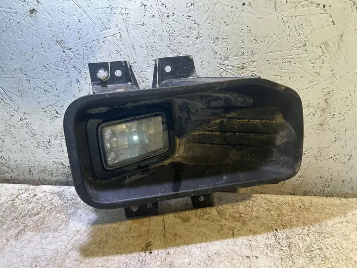 Ford F150 (2014 - 2018) JL3415A254AB Комплект противотуманных фар — фото 1