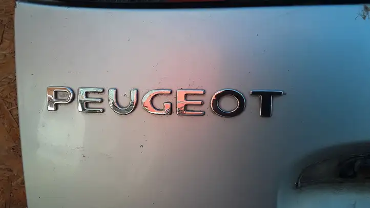 Peugeot 307 (2005 - 2008) Эмблема модели — фото 2