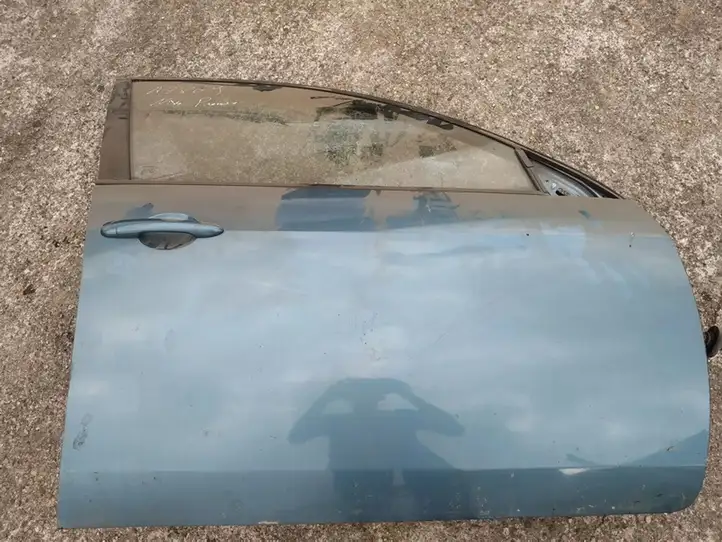 Nissan Primera (2001 - 2008) melynos Дверь — фото 2