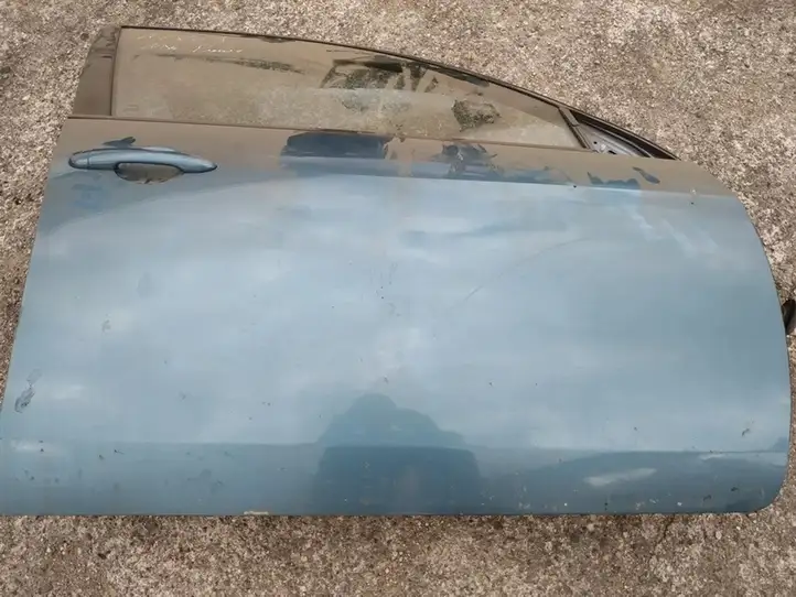 Nissan Primera (2001 - 2008) melynos Дверь — фото 3