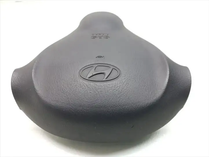 Hyundai Santa Fe (2000 - 2005) 5690026500 Подушка безопасности руля — фото 2