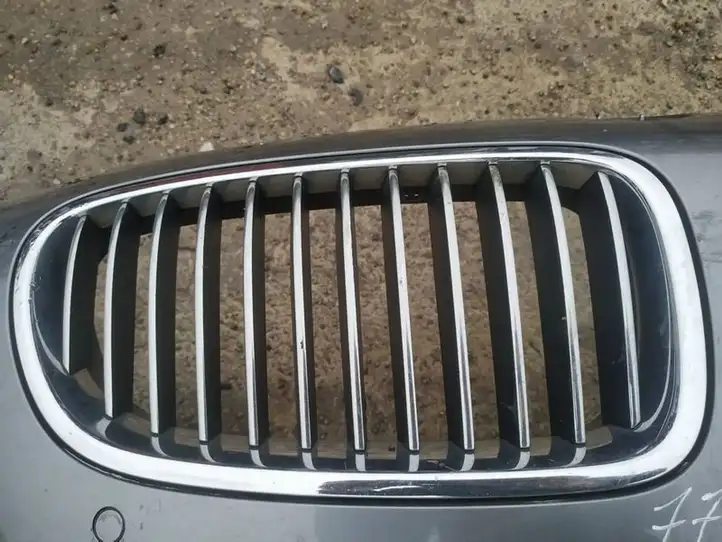BMW 5 GT F07 (2010 - 2017) Передняя решетка — фото 2