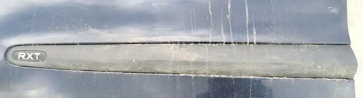 Renault Scenic I (1996 - 2003) Молдинг передней двери — фото 1