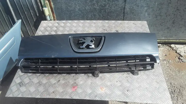 Peugeot Expert (2007 - 2016) 1497644077 Верхняя решетка радиатора — фото 1
