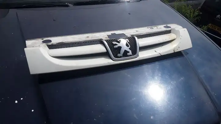 Peugeot Partner (2002 - 2008) 9644758577 Верхняя решетка радиатора — фото 1
