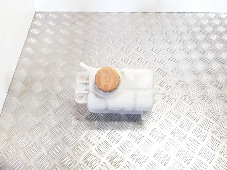 Chevrolet Aveo (2008 - 2011) 96930818 Расширительный бачок — фото 1