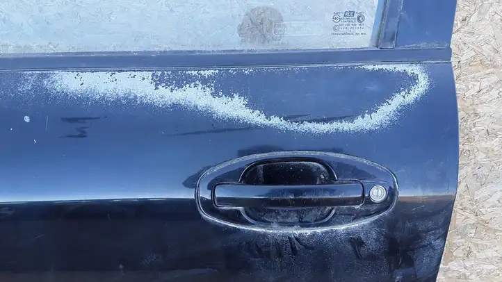 Hyundai Santa Fe (2000 - 2005) Дверь — фото 2