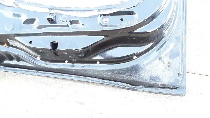 Hyundai Santa Fe (2000 - 2005) Дверь — фото 7