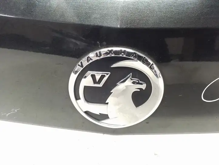 Opel Antara (2011 - 2017) 96661344 Подсветка номера — фото 8