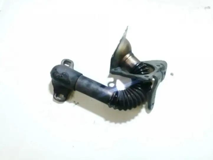 Nissan Qashqai (2006 - 2010) Трубка EGR — фото 1